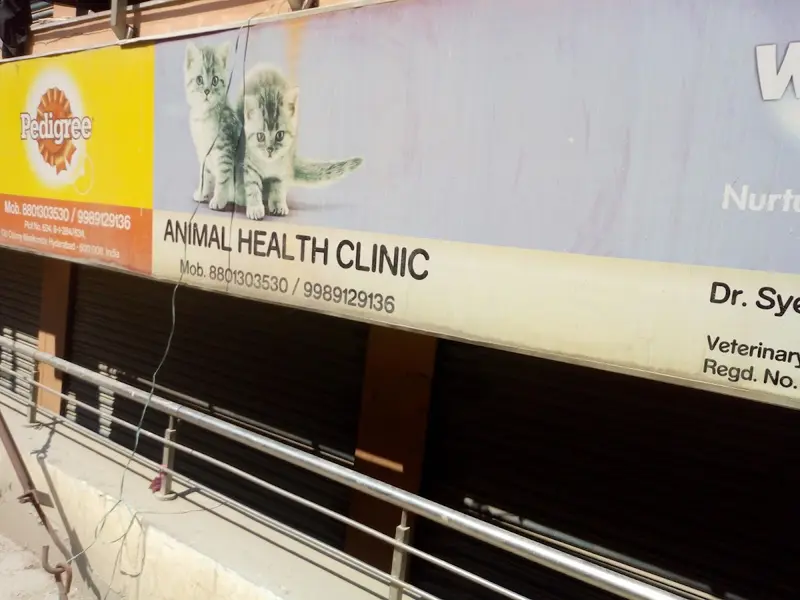 Razvi Veterinary Care Services / Petexotica Pet Store, photo 4