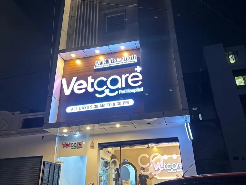 VETCARE Pet Hospital, photo 2