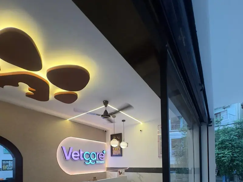 VETCARE Pet Hospital, photo 3
