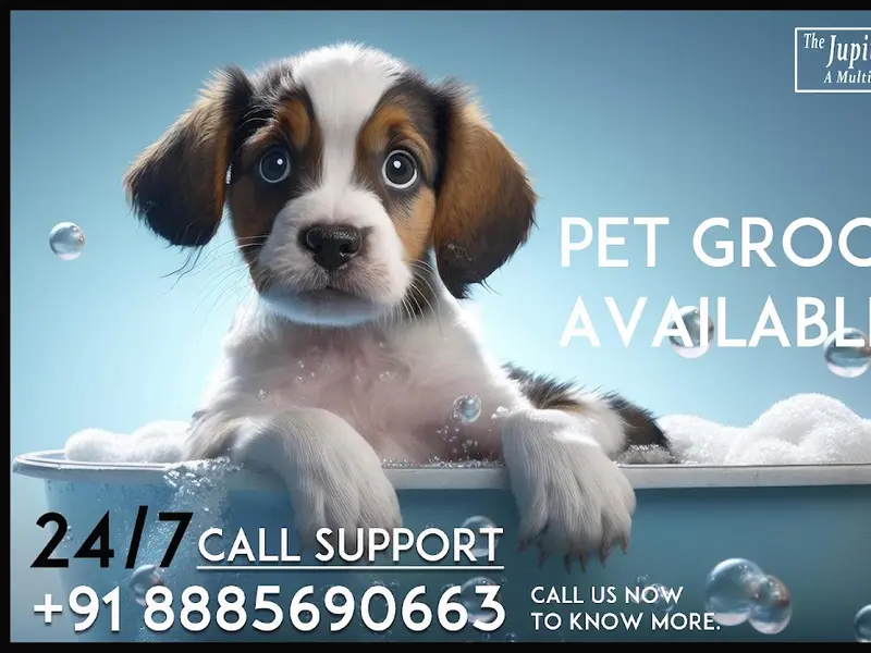 The Jupiter Pet Hospital, photo 2