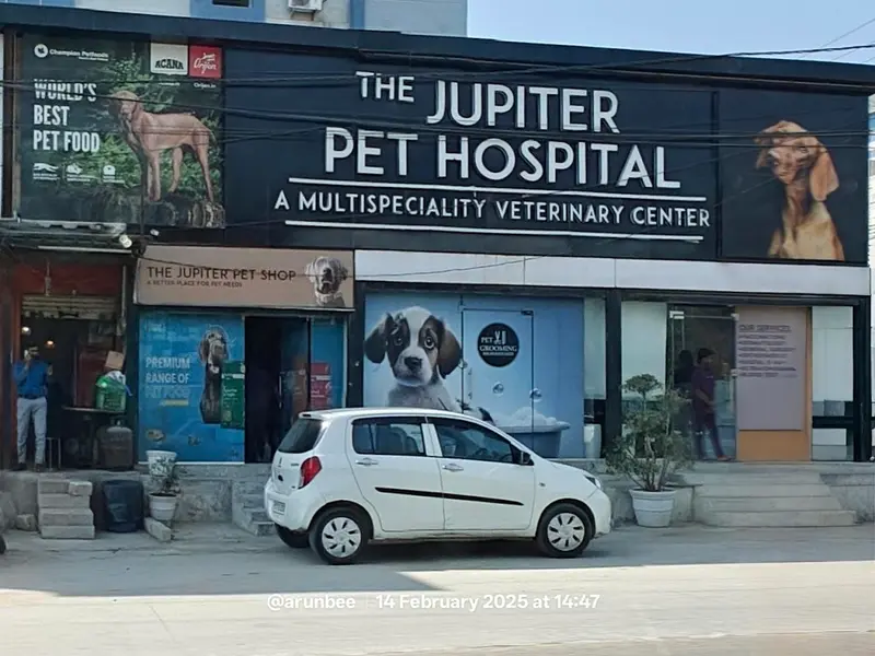 The Jupiter Pet Hospital, photo 4