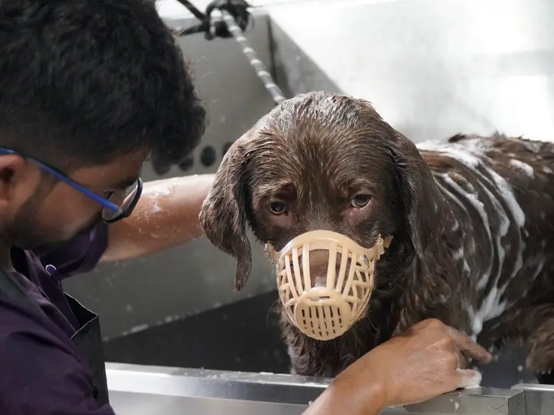 The Jupiter Pet Hospital, photo 5