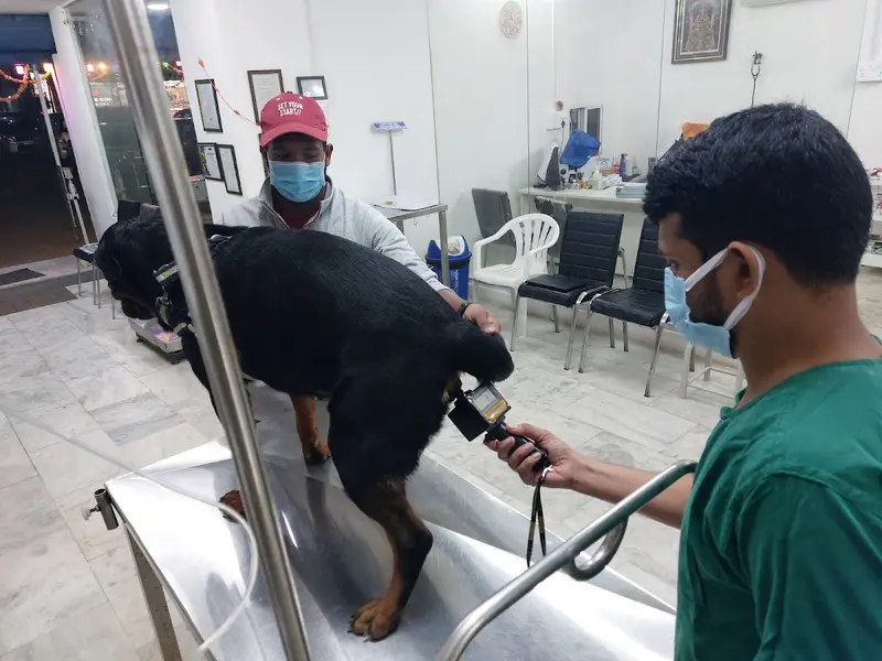 Vishva's Pet Clinic, photo 4