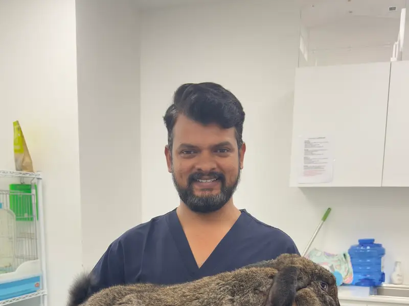 Vishva's Pet Clinic, photo 5