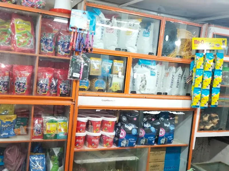 Malik pets and Grooming, photo 2