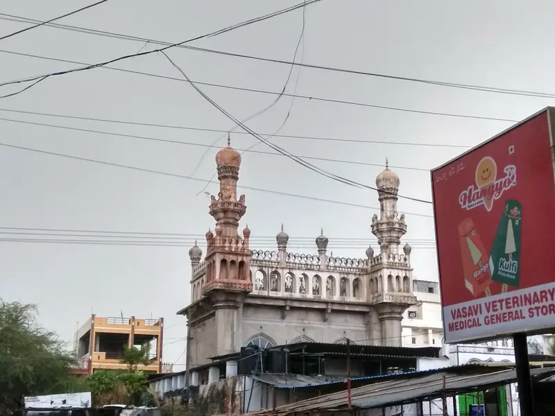 Vasavi pet& vet Medical Stores, photo 2