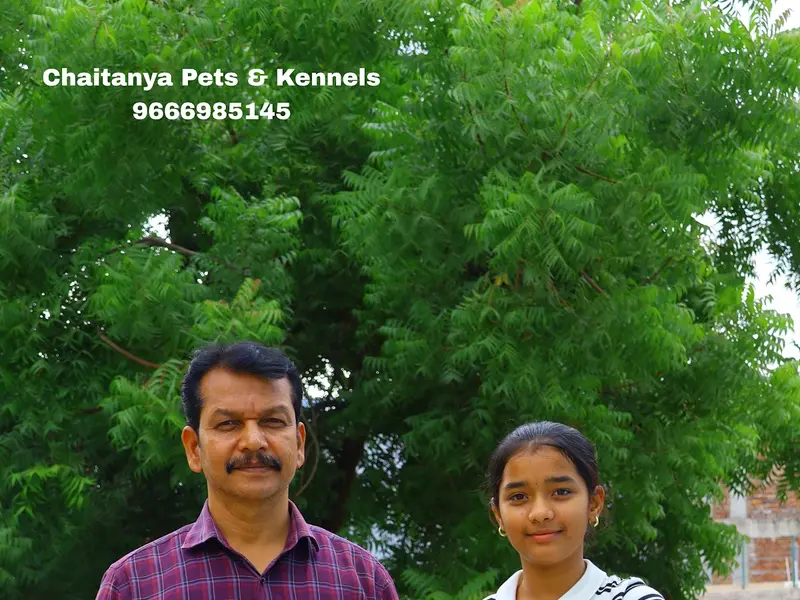 Chaitanya Pets Kennels, photo 3