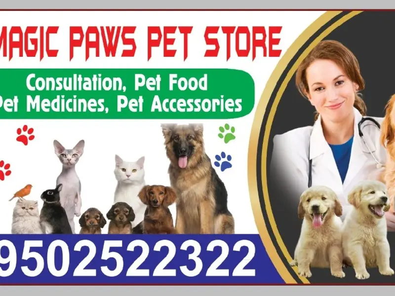 Magic Paws Pet Clinic, photo 2