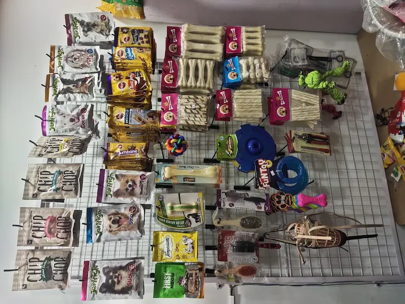 Y-bow pet shop, photo 3