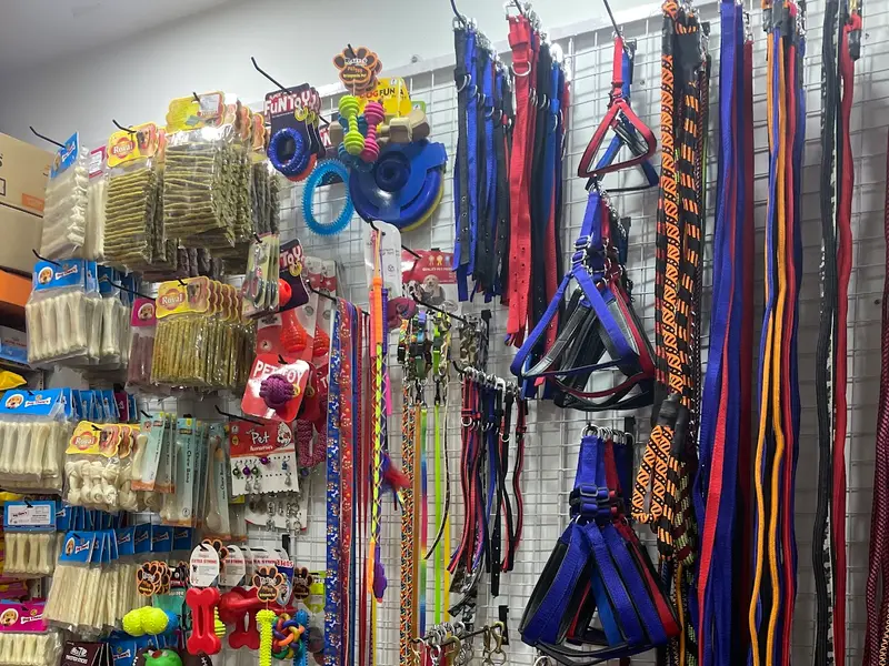 Y-bow pet shop, photo 4
