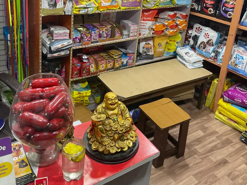 Y-bow pet shop, photo 5