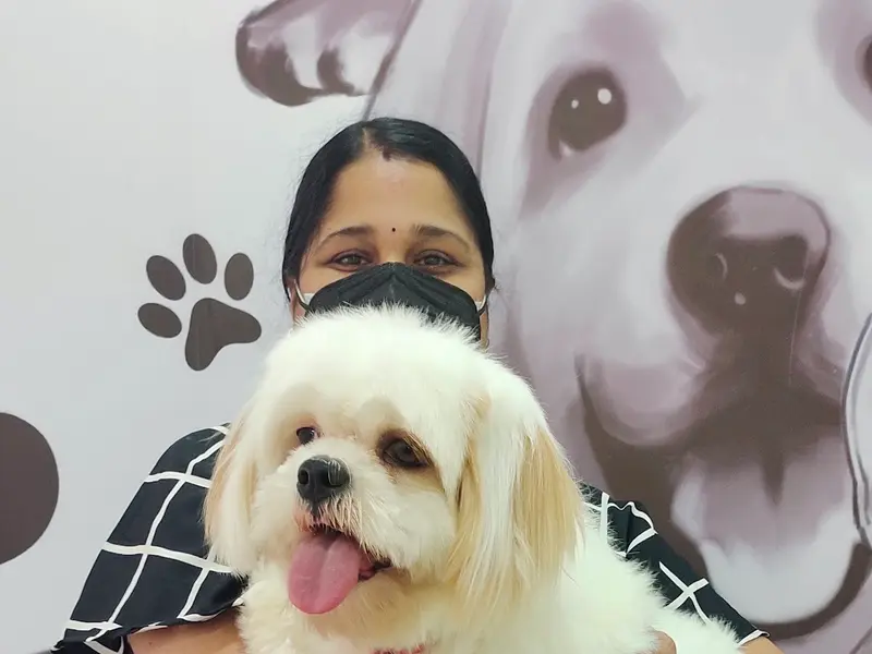 Hachiko India, Kochi, photo 3