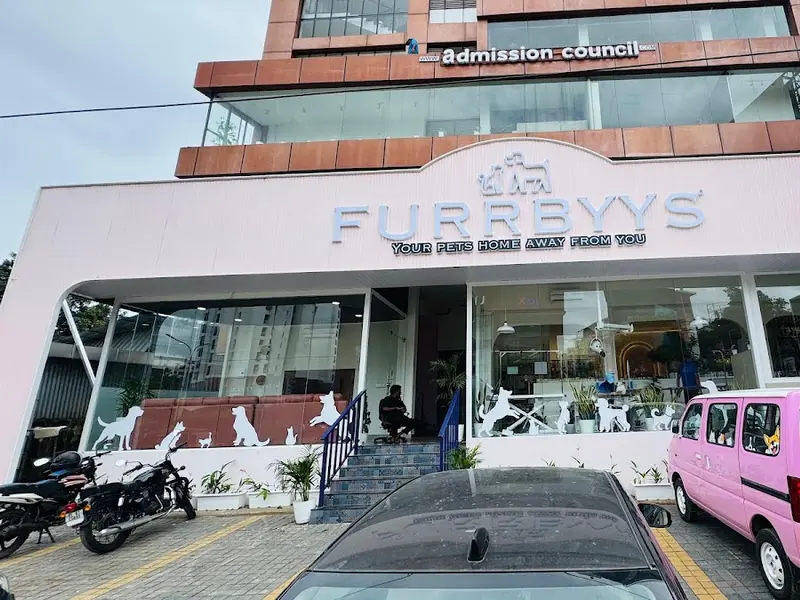 FURRBYYS, photo 2