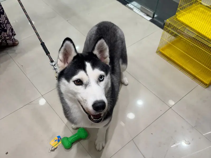 PETMARK - Pet Store & Grooming Studio, photo 3