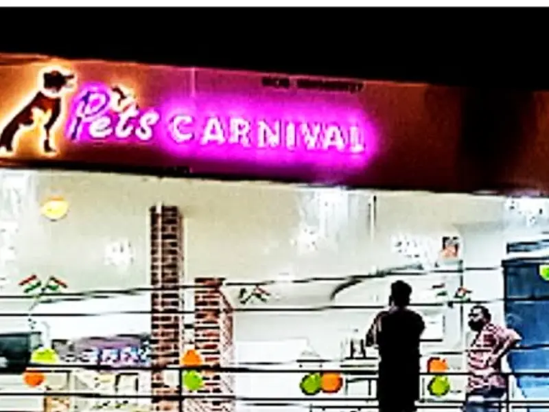 PETS CARNIVAL PET STORE AND GROOM PARLOUR, photo 2