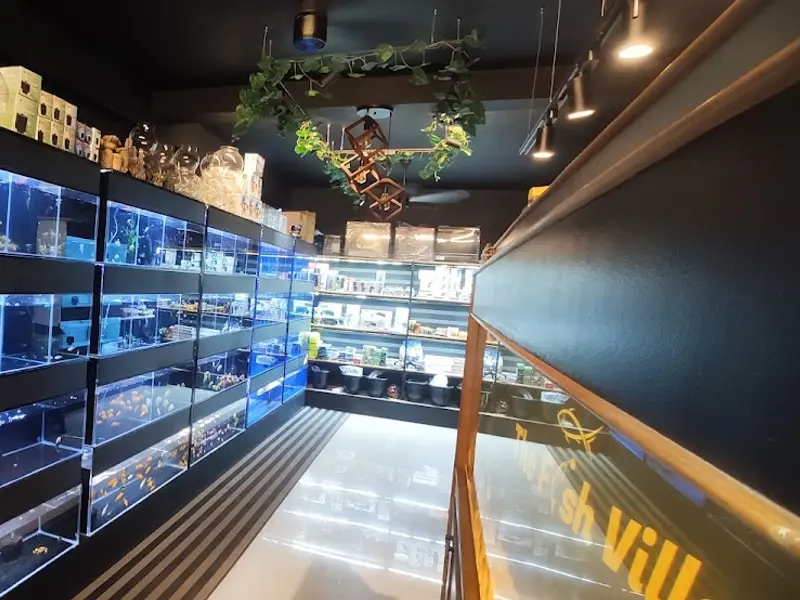 The Fish Villa, photo 5