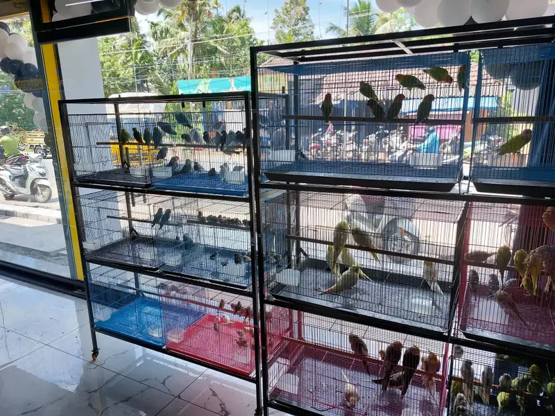 Pet Palace Aquarium, photo 2