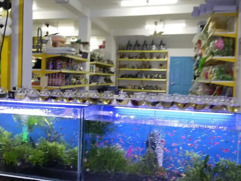 Pet Palace Aquarium, photo 3