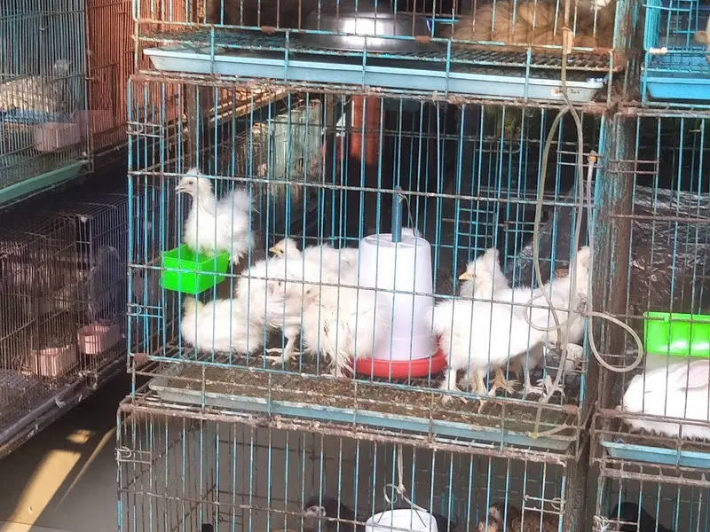 Pet Palace Aquarium, photo 5