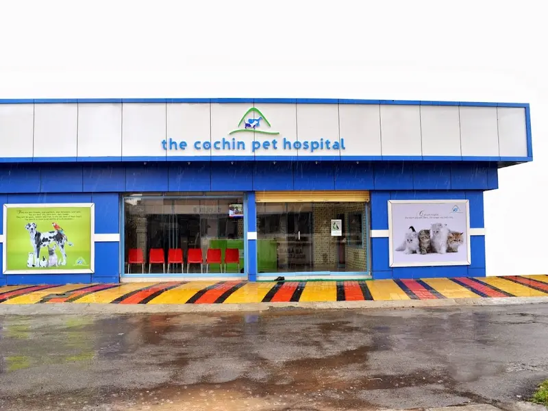The Cochin Pet Hospital, photo 3