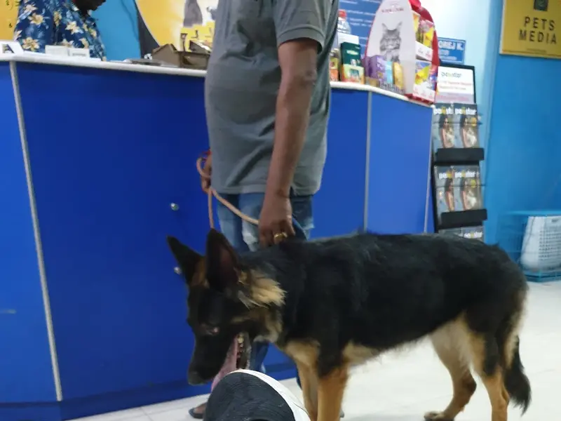 The Cochin Pet Hospital, photo 4