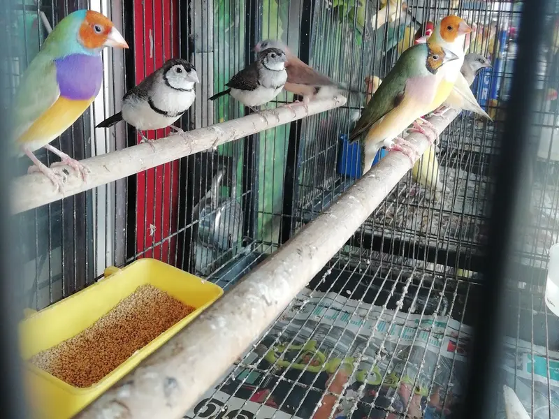 AAA Pets and Agros, photo 2