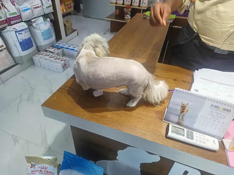 Roms N Raks Pet Hypermarket and Grooming Studio, photo 2