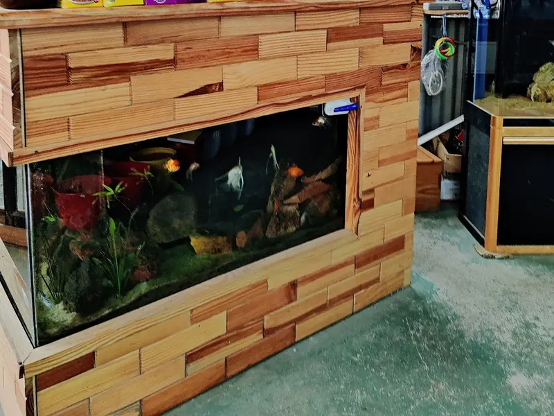 Bismi Aqua Garden, photo 4