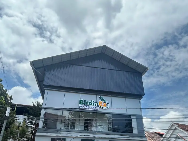 Birdinex Avian Exotic and Cat Speciality Hospital, photo 2