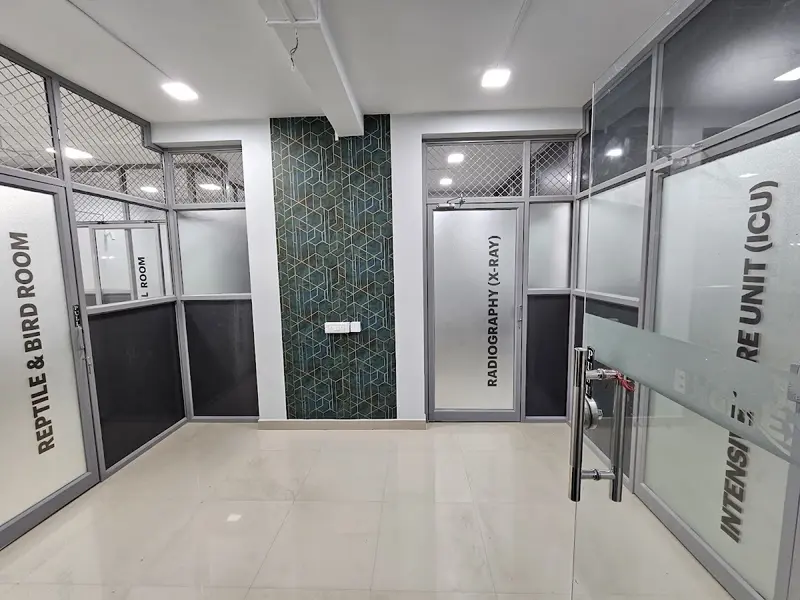 Birdinex Avian Exotic and Cat Speciality Hospital, photo 3