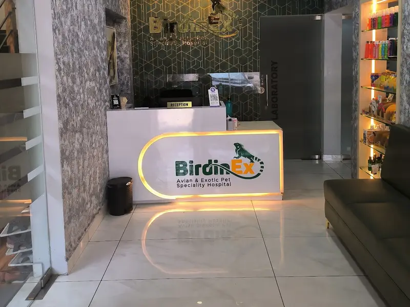 Birdinex Avian Exotic and Cat Speciality Hospital, photo 4