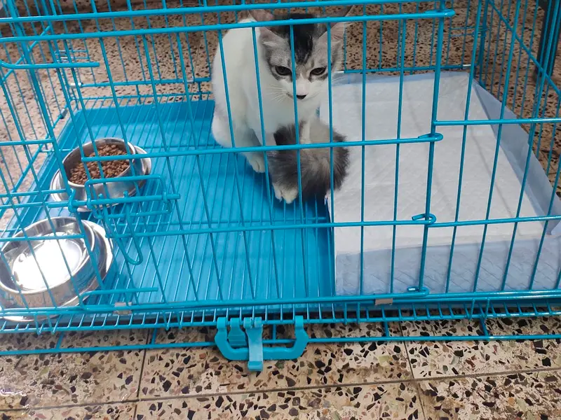 Orijen Petcare, photo 3