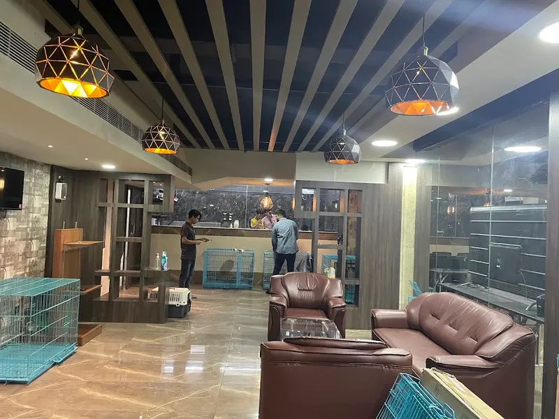 Roms N Raks Pet Hypermarket and Grooming Studio, photo 4