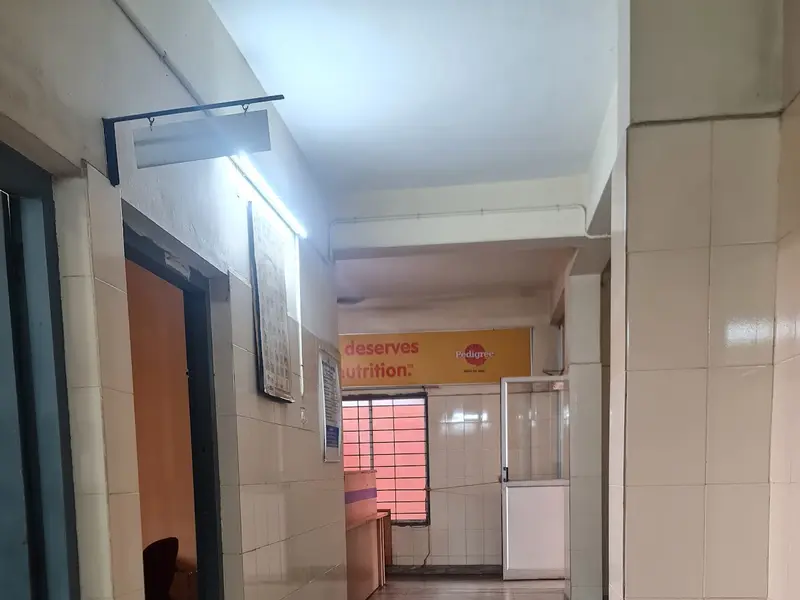 District Veterinary Centre Ernakulam, photo 4