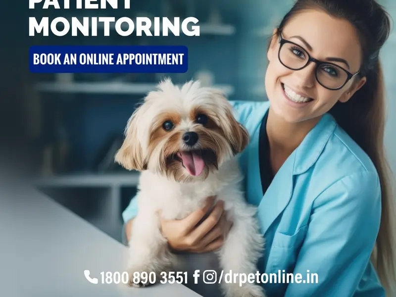 DrPET Online veterinary consultations for Pets, Animals, avian and exotic pets, photo 4