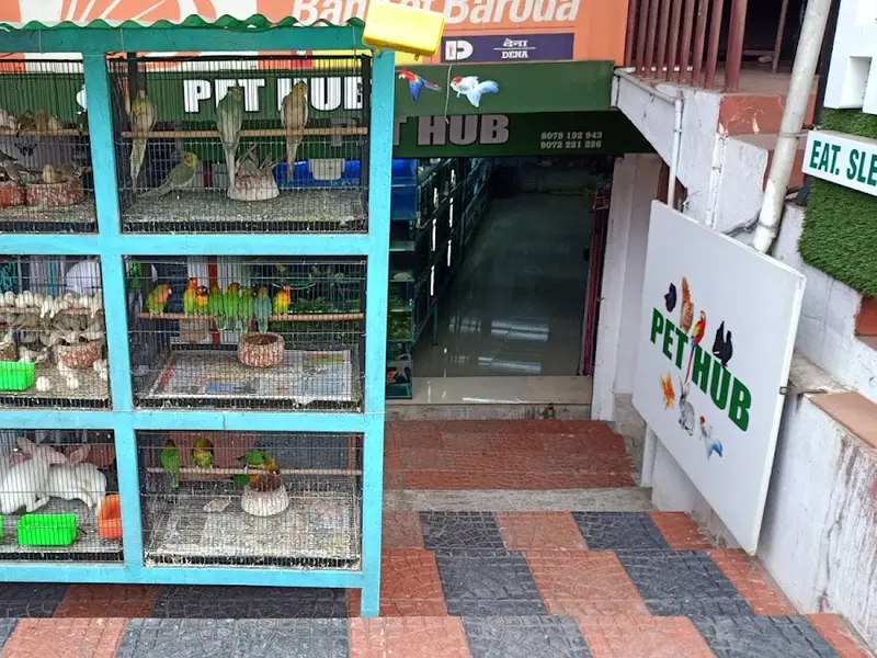 Pet hub, photo 2