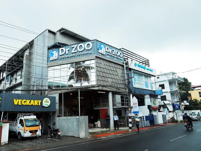 Dr Zoo Pet Hospital, photo 5