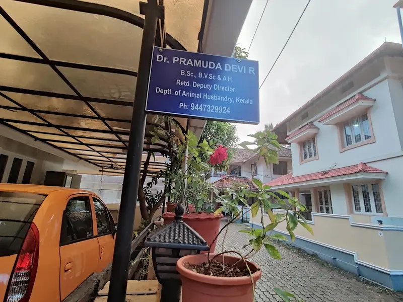 Dr. Pramuda Devi, photo 3
