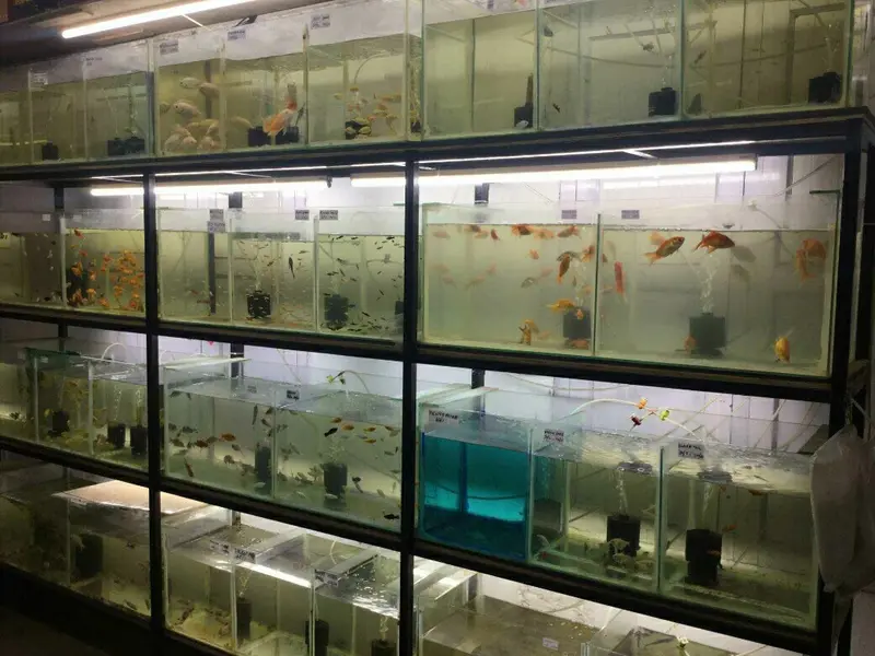 PET AVIARIES, photo 3