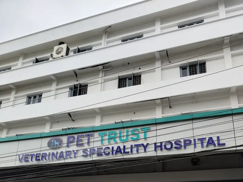 PET TRUST - Veterinary Hospital, photo 5