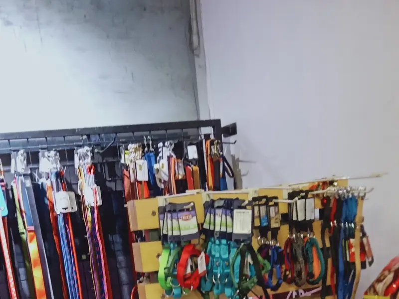Cochin Pet Center, photo 5
