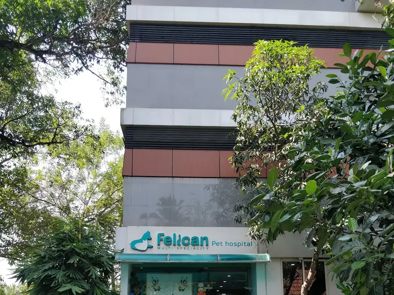 Felican Pet Hospital, photo 2