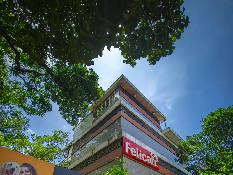 Felican Pet Hospital, photo 3