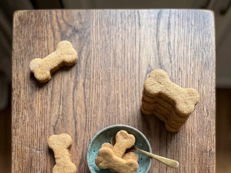 Hooch & Bailey's Barkery. Homemade Dog bakery kochi, photo 4
