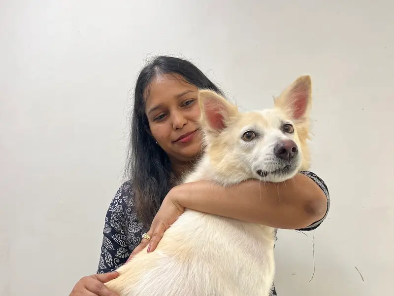 Tailwag the complete pet grooming Hub and grooming Academy, photo 4