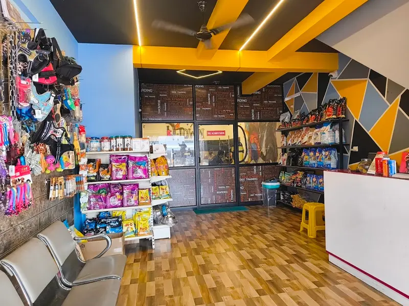 D-Town Pet Store & Grooming, photo 2