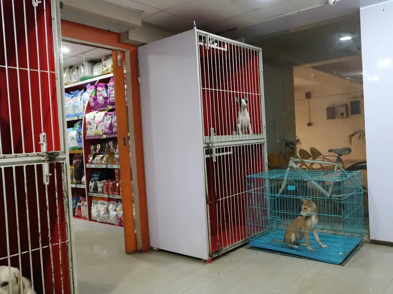 Paws Avenue, photo 2