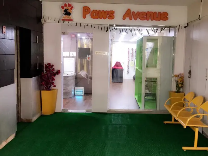 Paws Avenue