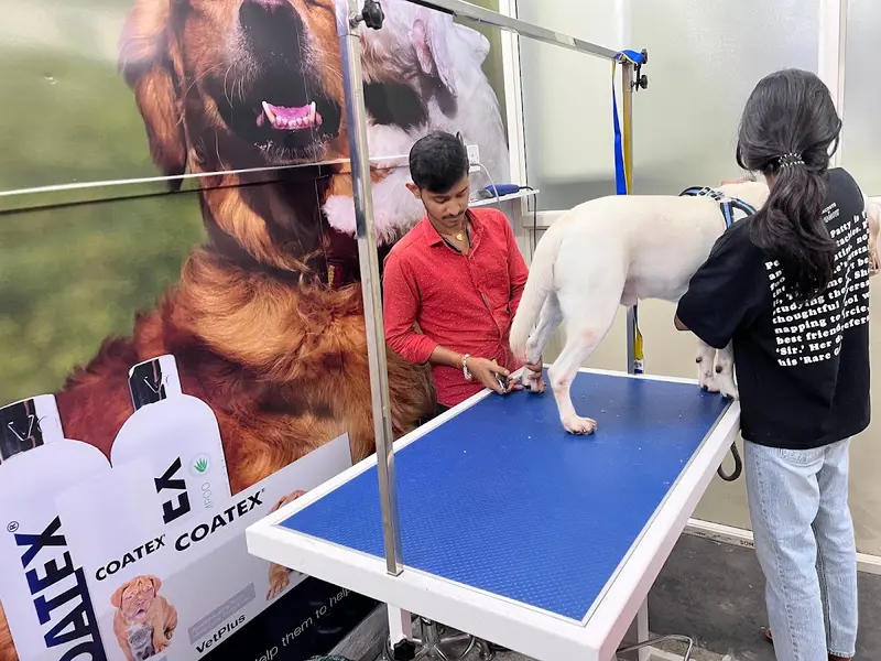 The Paws Avenue - Best Pet Clinic in Kolkata, photo 3
