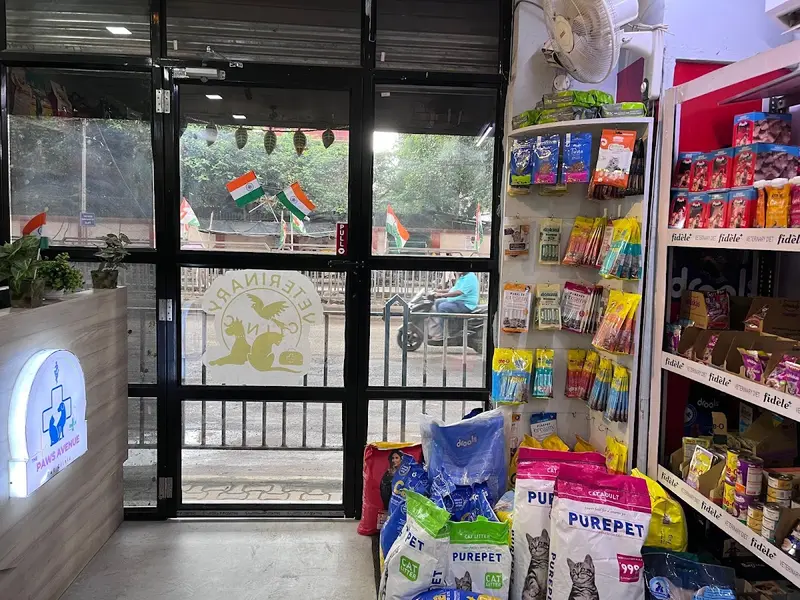 The Paws Avenue - Best Pet Clinic in Kolkata, photo 4